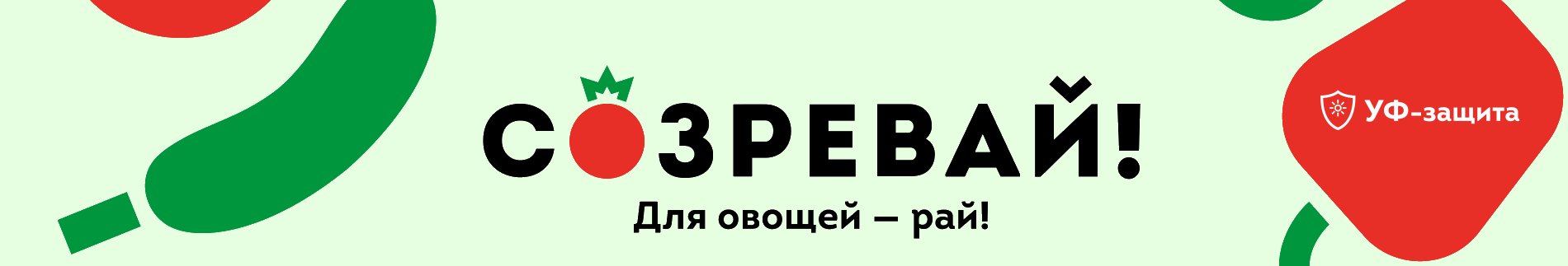 2sotepolic